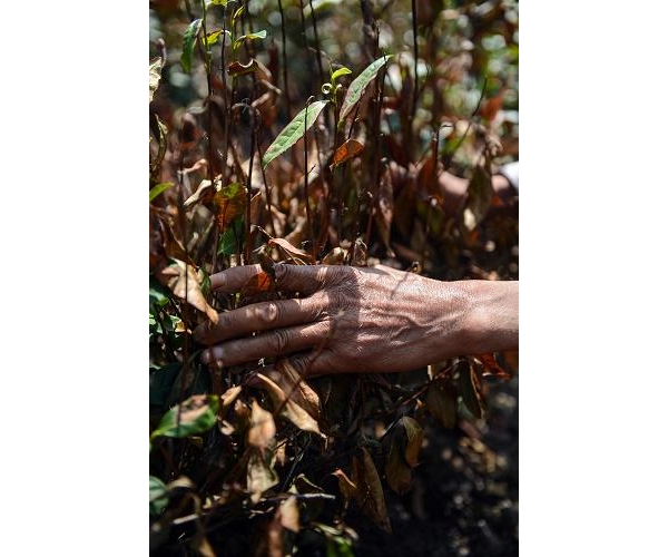  ��ũ��ע forum