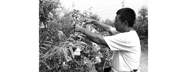  ��ũ��ע forum