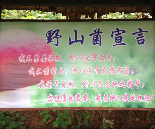  ŵ����ũ��-�Ʊ� forum