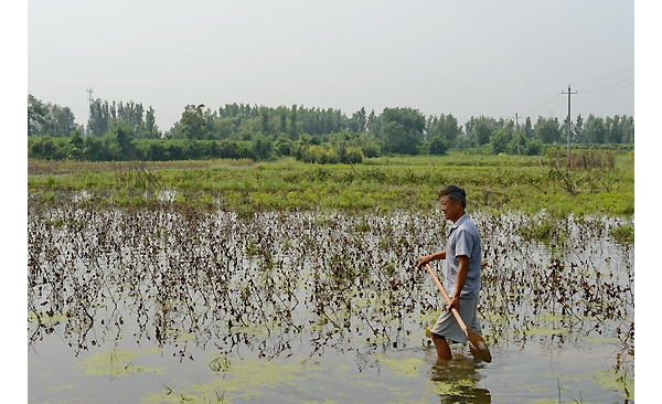  ��ũ��ע forum