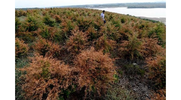  ��ũ��ע forum