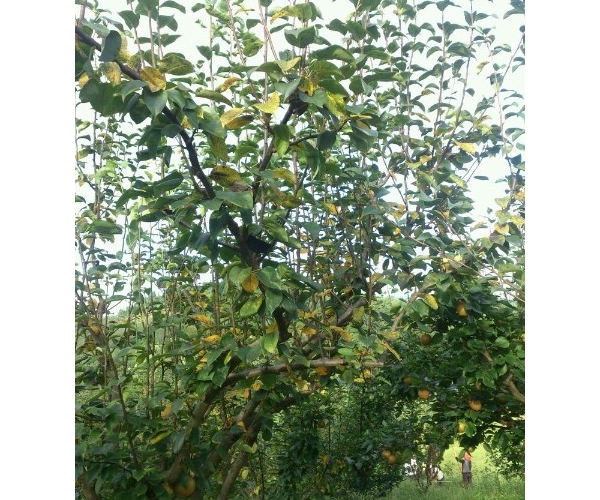  ˮ��ר�� forum