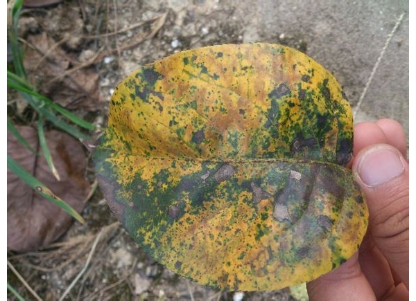  ˮ��ר�� forum