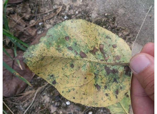  ˮ��ר�� forum