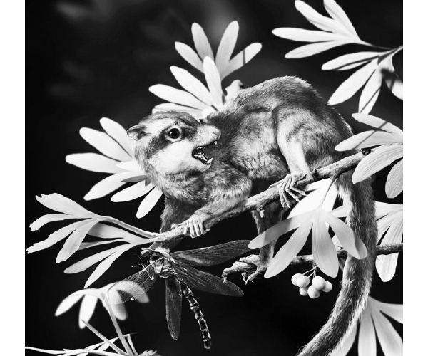  ������ֳ forum