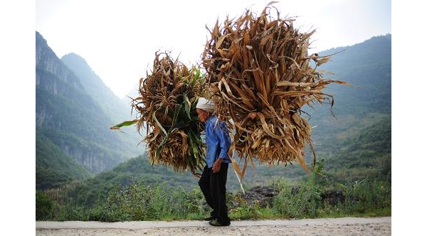  ��ũ��ע forum