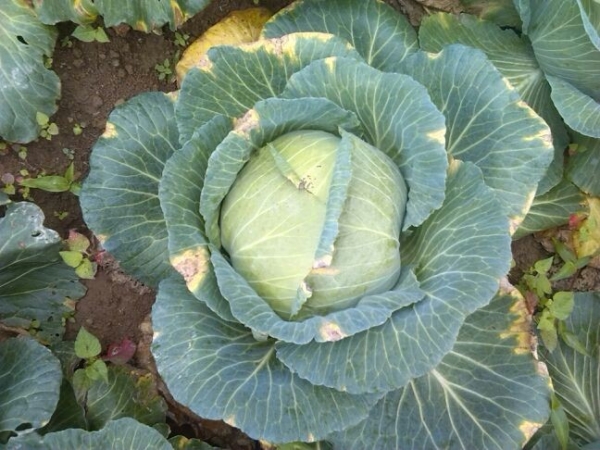  �߲�ר�� forum