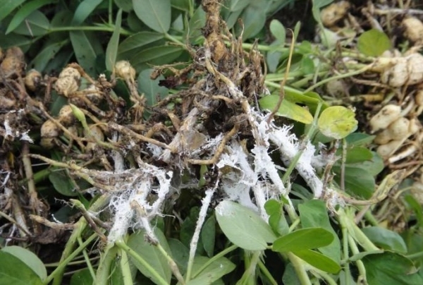  �߲�ר�� forum