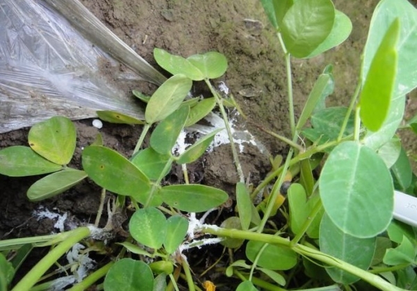  �߲�ר�� forum