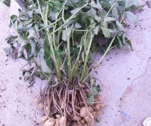  ˮ��ר�� forum