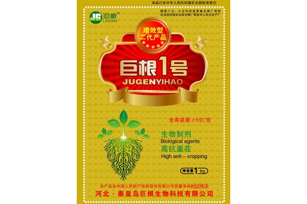 20120420120956402.jpg