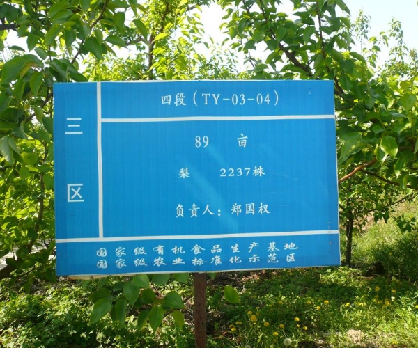 海城市天鹰果业