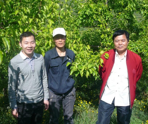 海城市天鹰果业试用瑞然