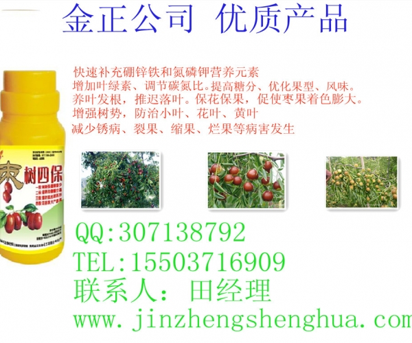枣树四保