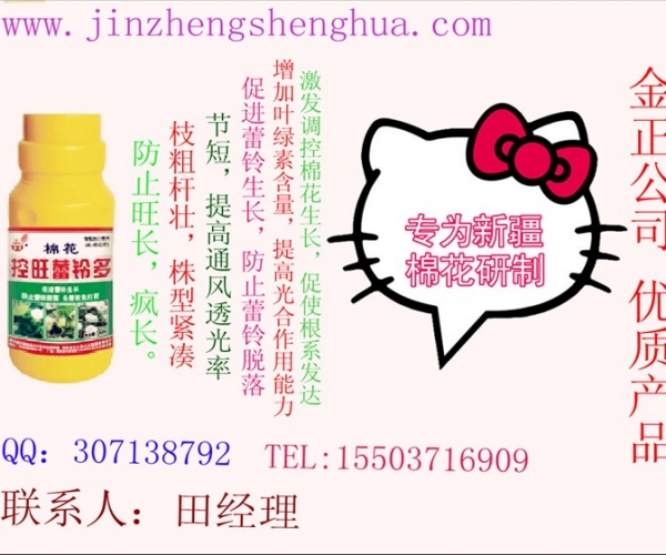 棉花蕾铃多.jpg