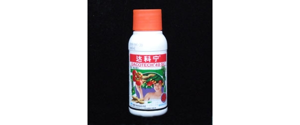 100ML瓶装