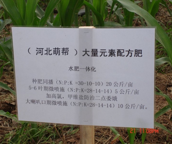 DSC04276副本 (复制).jpg