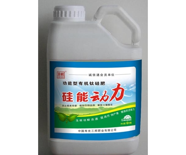 硅动力效果.jpg