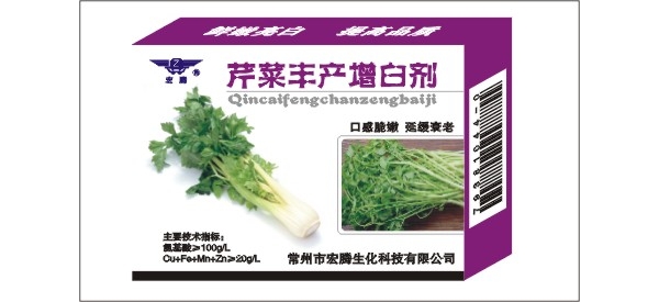 芹菜.jpg