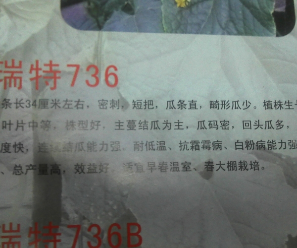 德瑞特736.jpg