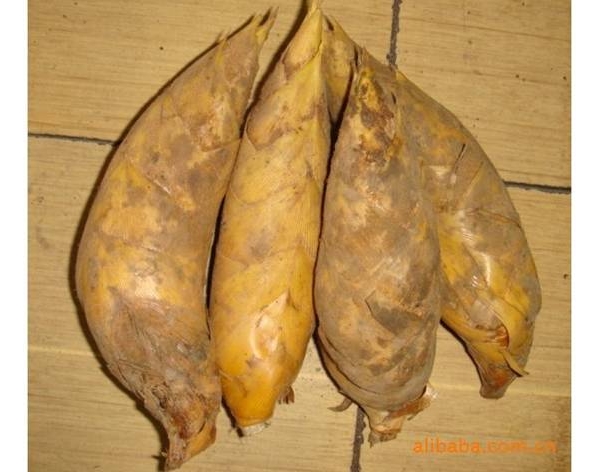 clip_image004.jpg