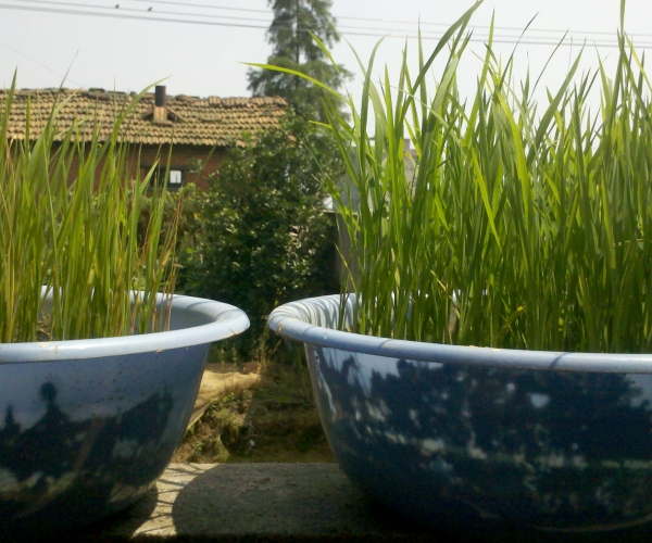 2012-06-20_14-12-56_739.jpg