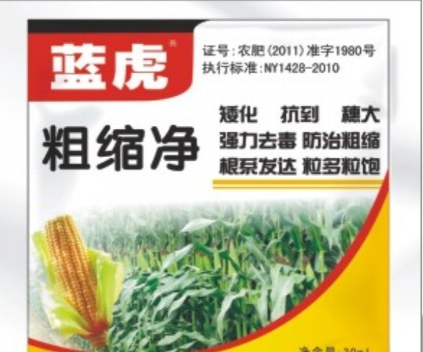 玉米粗缩净副本cc.jpg1.jpg
