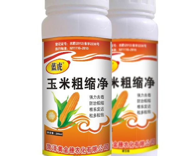 玉米粗缩净副本cc.jpg