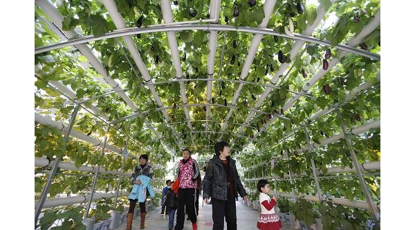 fa260c05-c4fb-4364-8857-23b4dfd006e0.jpg