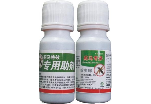 蓟马1 1.jpg
