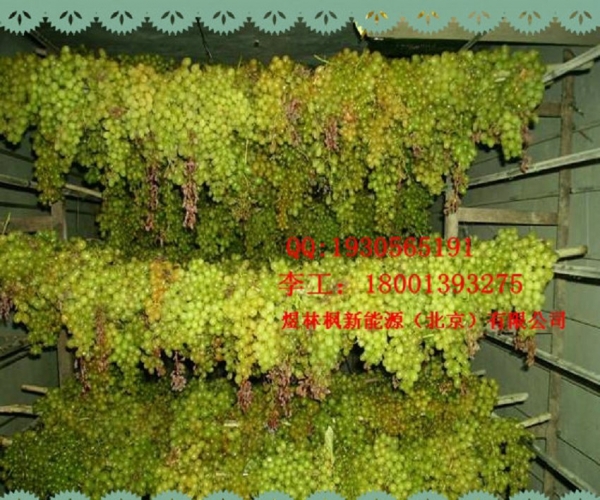 葡萄干 烘干系统.jpg