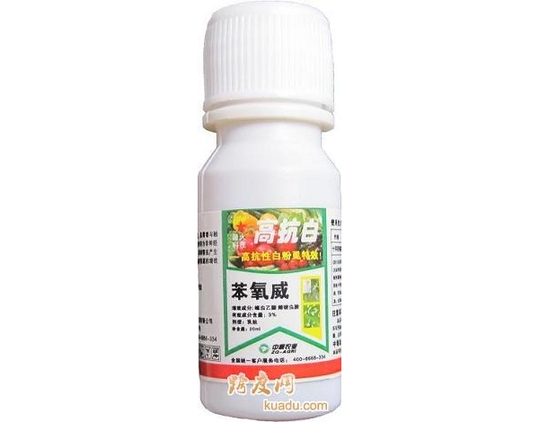 高抗白.jpg