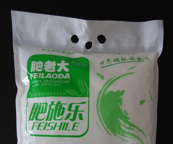 正面