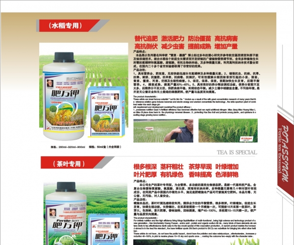 水稻茶叶.jpg
