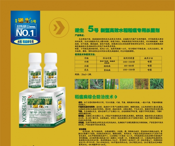 5号.jpg