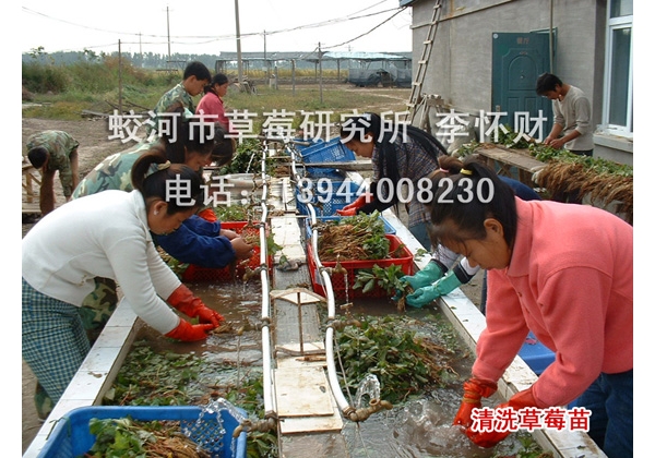 清洗.jpg