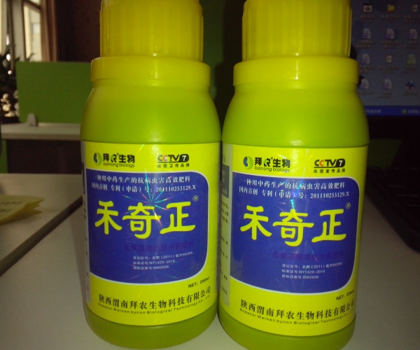 禾奇正
