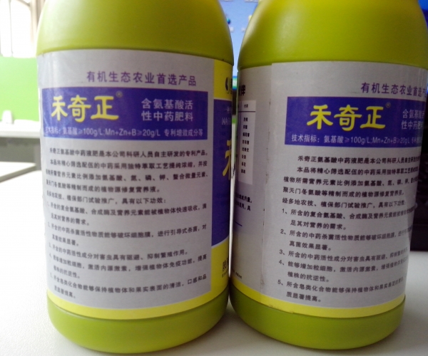 禾奇正