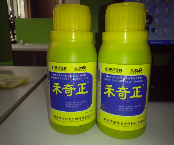 禾奇正