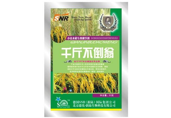 郑州德化新陆zzdhxl010.jpg