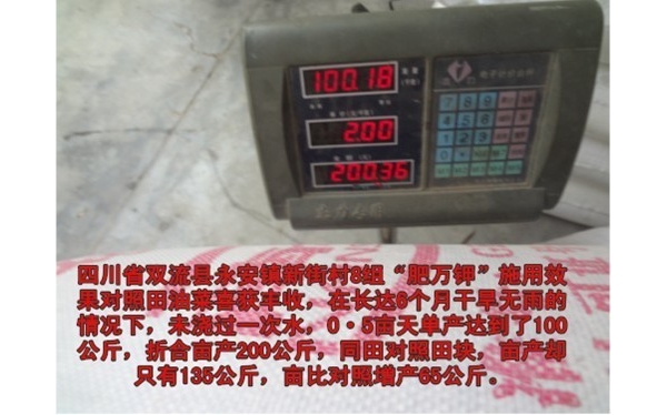 千粒重.jpg