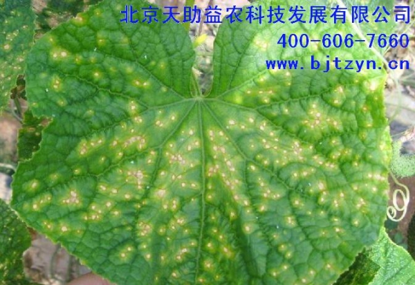201231712249541.jpg