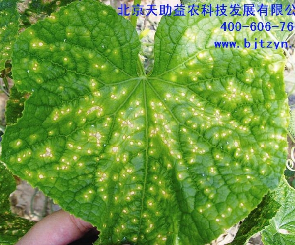 20123171239292.jpg