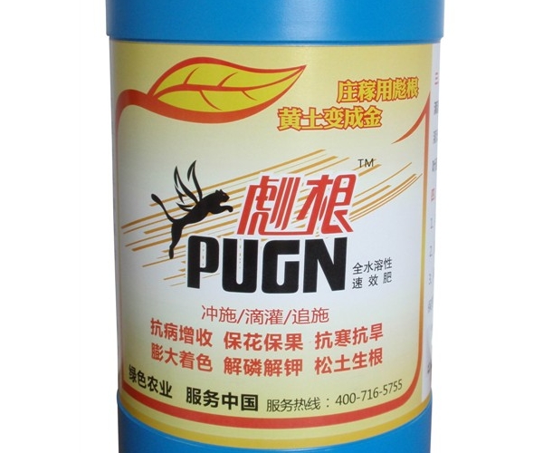 彪根2.5.jpg