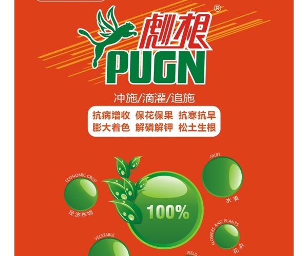 彪根大袋.jpg
