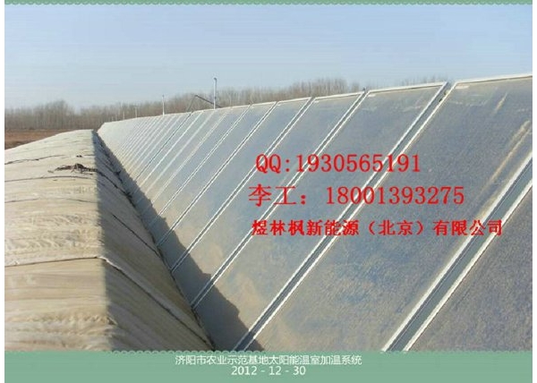 济阳温室大棚新.jpg