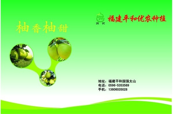 蜜柚封面.jpg