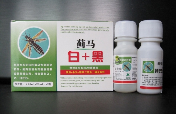 蓟马（白 黑）.jpg