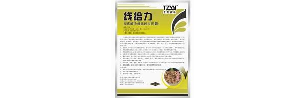 根结线虫忒奥