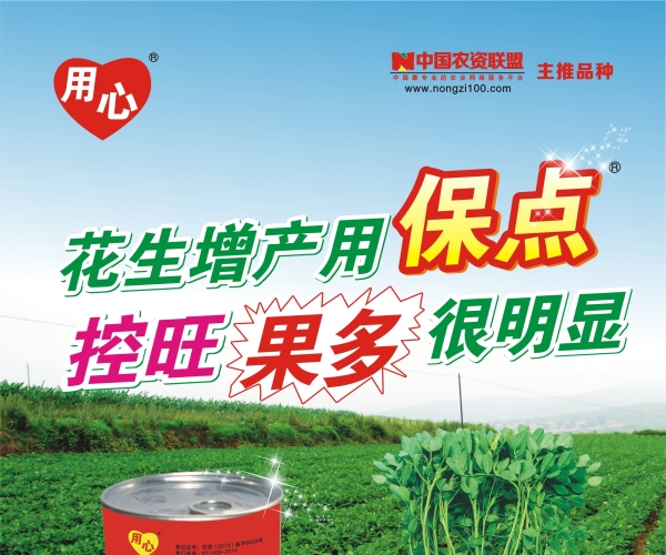 11111花生保点新宣传单.jpg